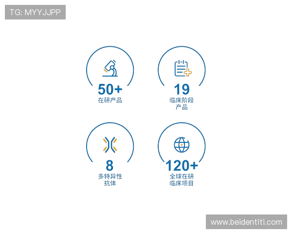 z6尊龙官方网站登录入口最新安全指南，确保您的账号信息安全稳定